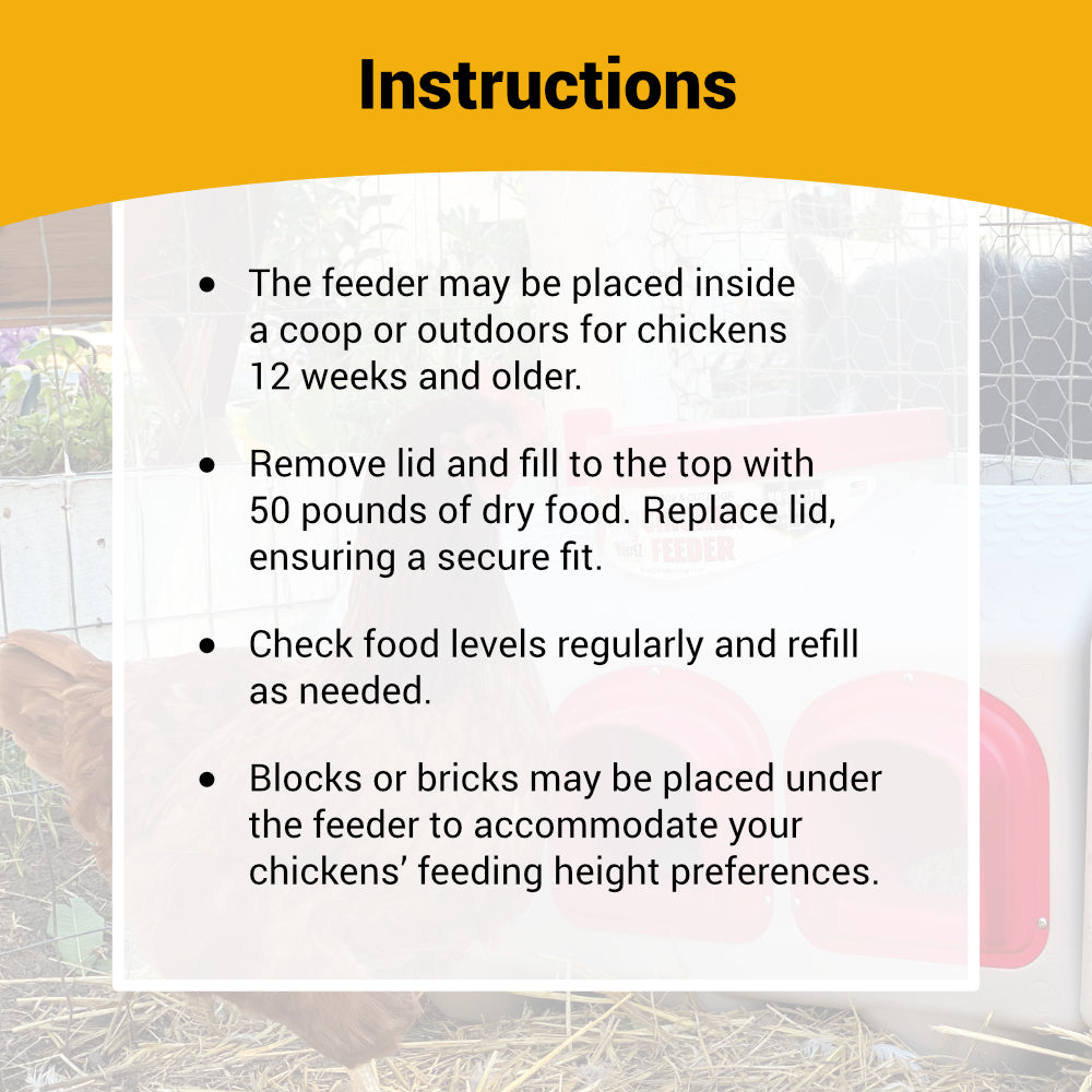 OverEZ Chicken Coop OEZCF OverEZ Chicken Feeder – No Waste