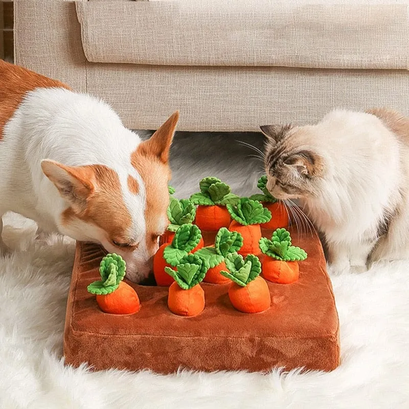 Carrot Farm - Interactive Carrot Plush Toy