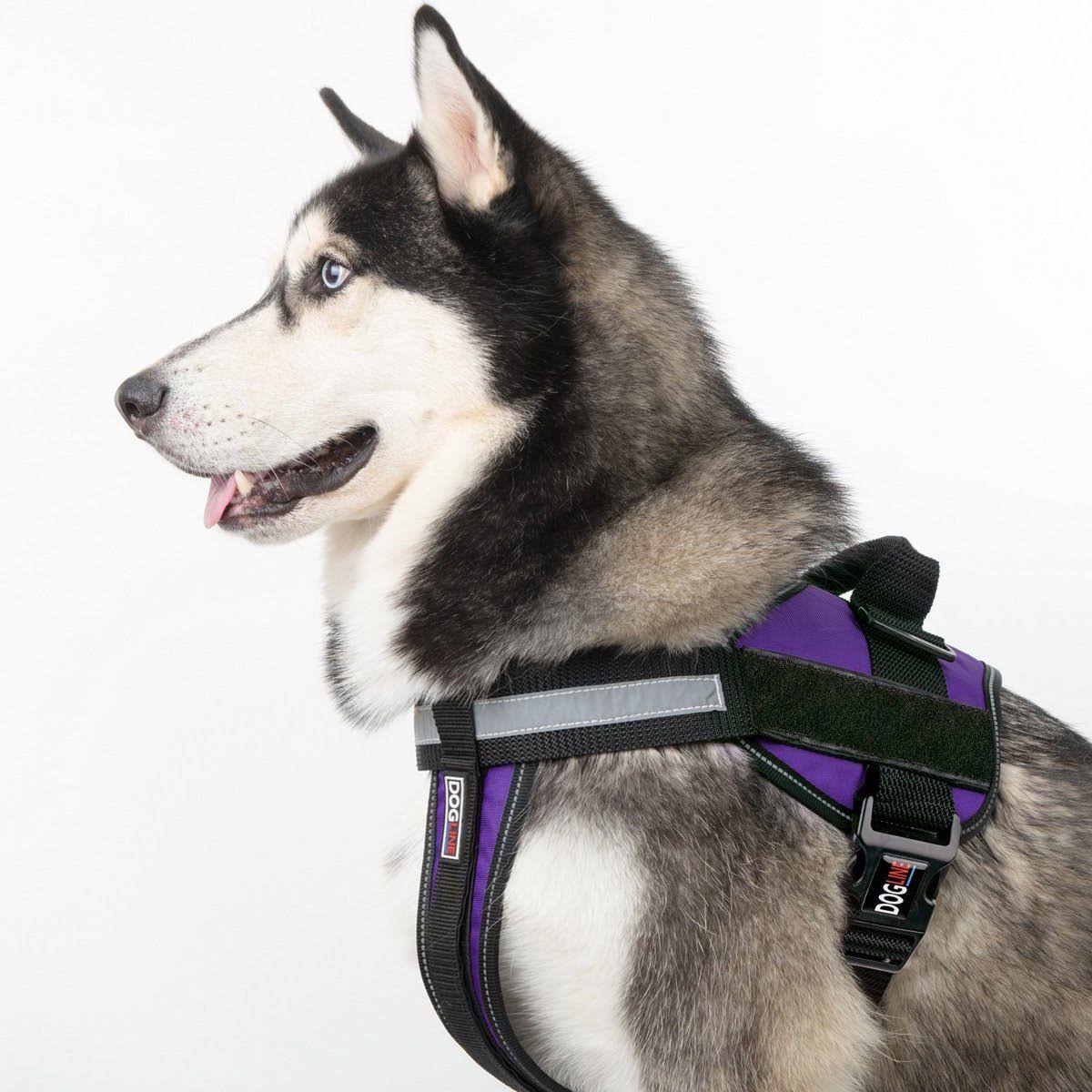 Dogline N0202-22 Unimax Multi Purpose Dog Harness Blue Camo M 22x22-30x22