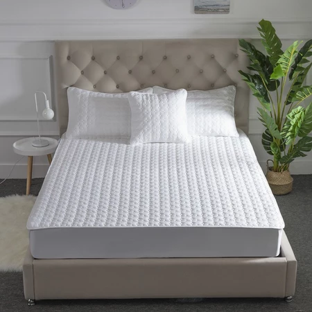 Mattress Protector Cadar Cover Fitted Bedsheet Set Single Queen King Size Tilam