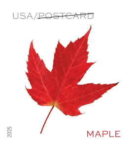 Vibrant Leaves Postcard Stamps 2025
