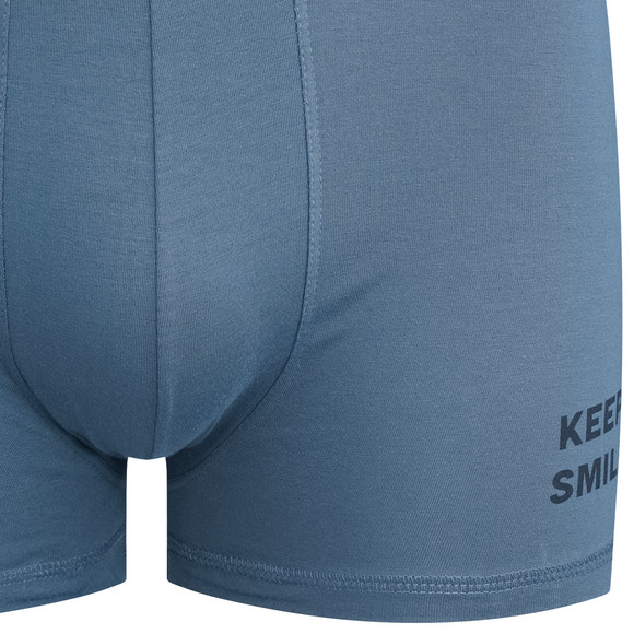 VanVaan Herren Retroboxer aus Baumwolle