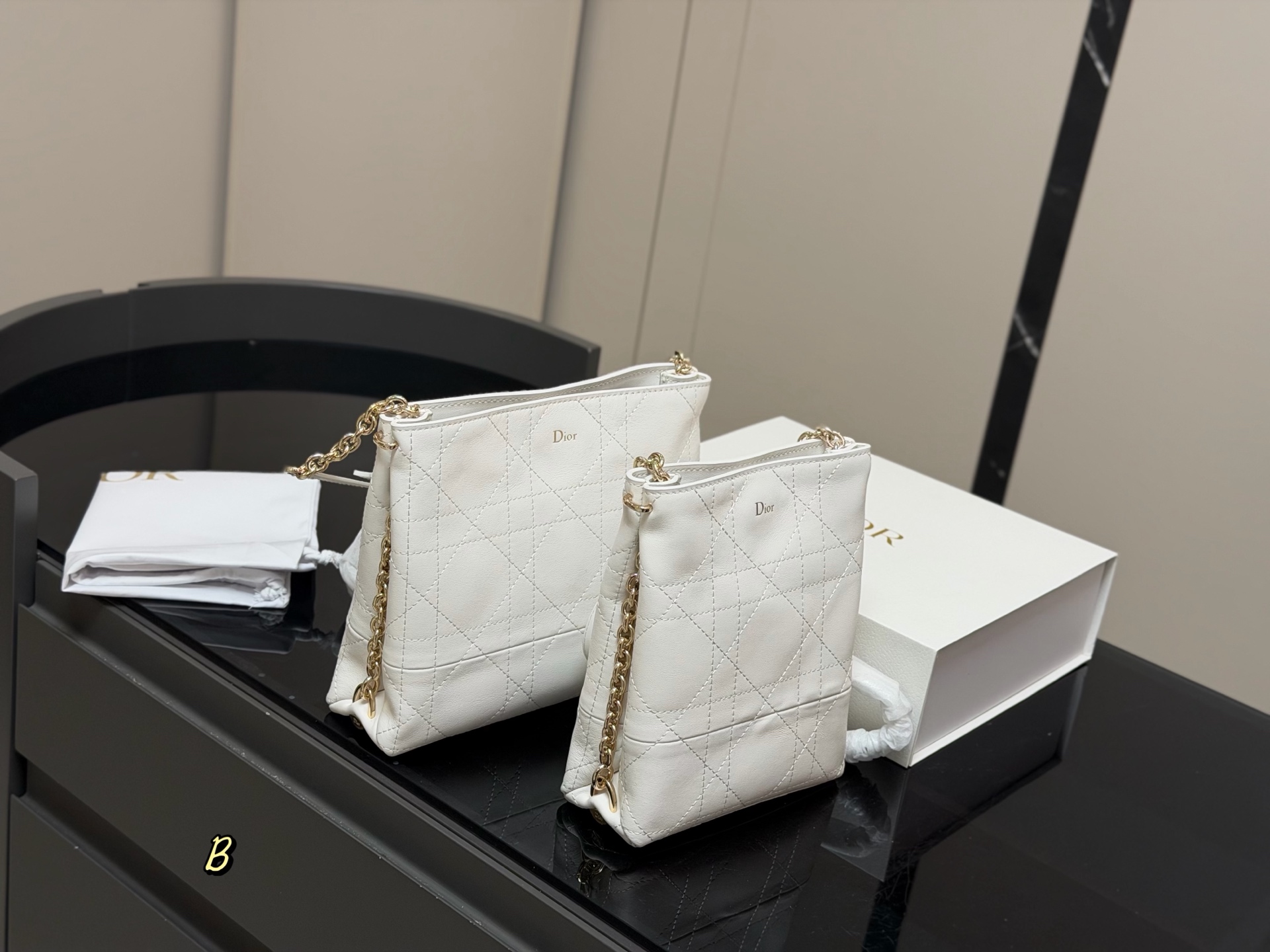 Dior's new D-motion bucket bag - cnluxepick
