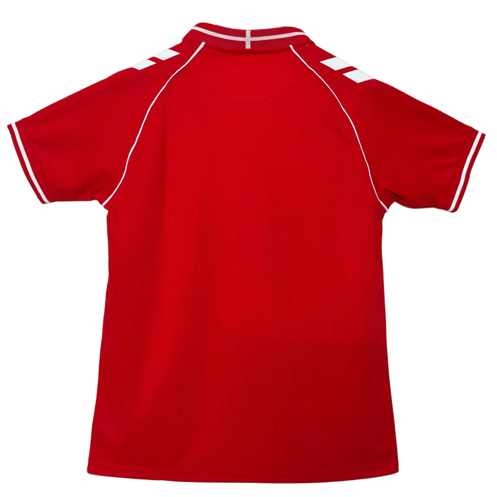 Denmark 2026 Home Jersey S-4XL