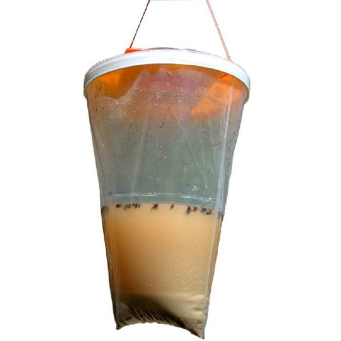 Flies Be Gone Non Toxic Fly Trap (12-Pack)