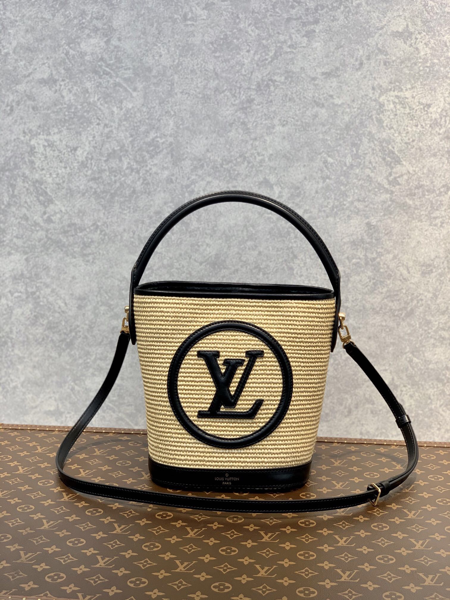 Louis Vuitton Petit Bucket 24Cm Black M59961