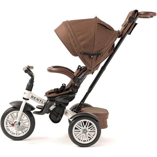 6-in-1 Baby Stroller/Kids Trike
