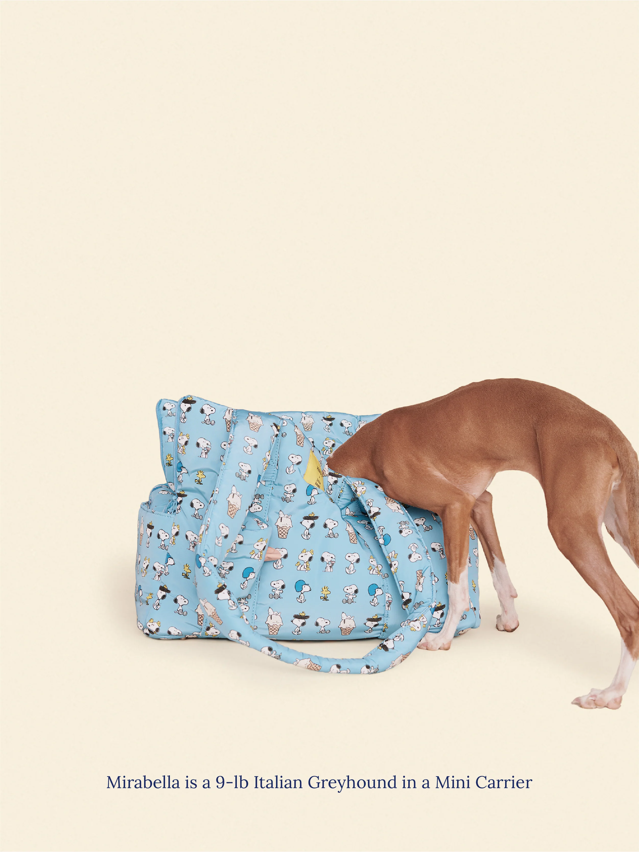 Snoopy Chillin Carrier - PEANUTS