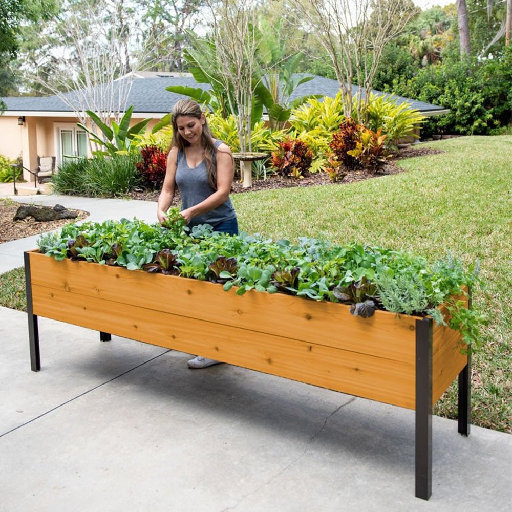 🎉Mart special today🎉Last 30sets Self-Watering Eco-Stained Elevated Planter Box
