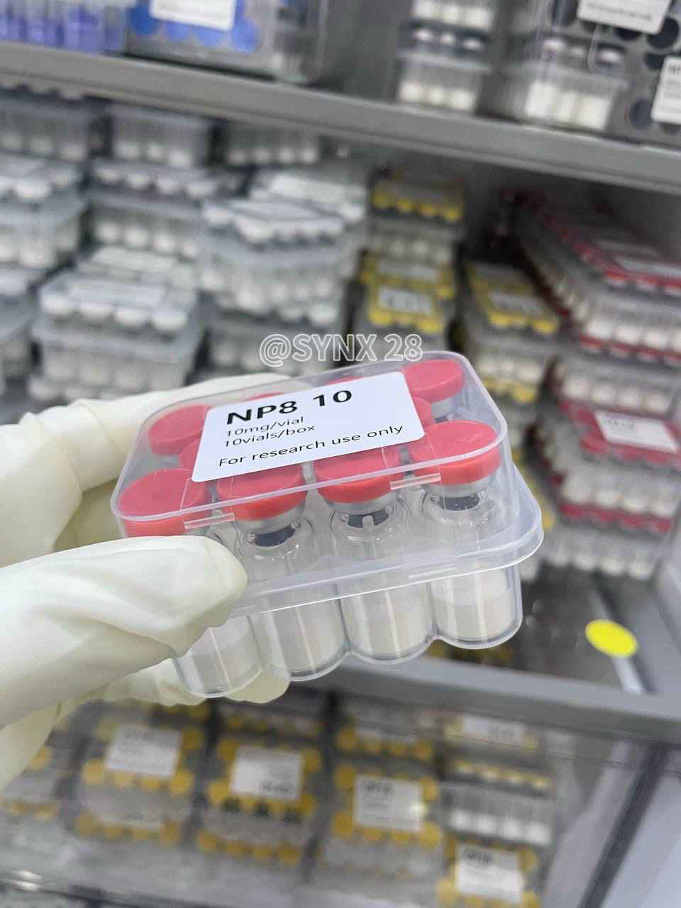 Snap-8 10mg*10vials