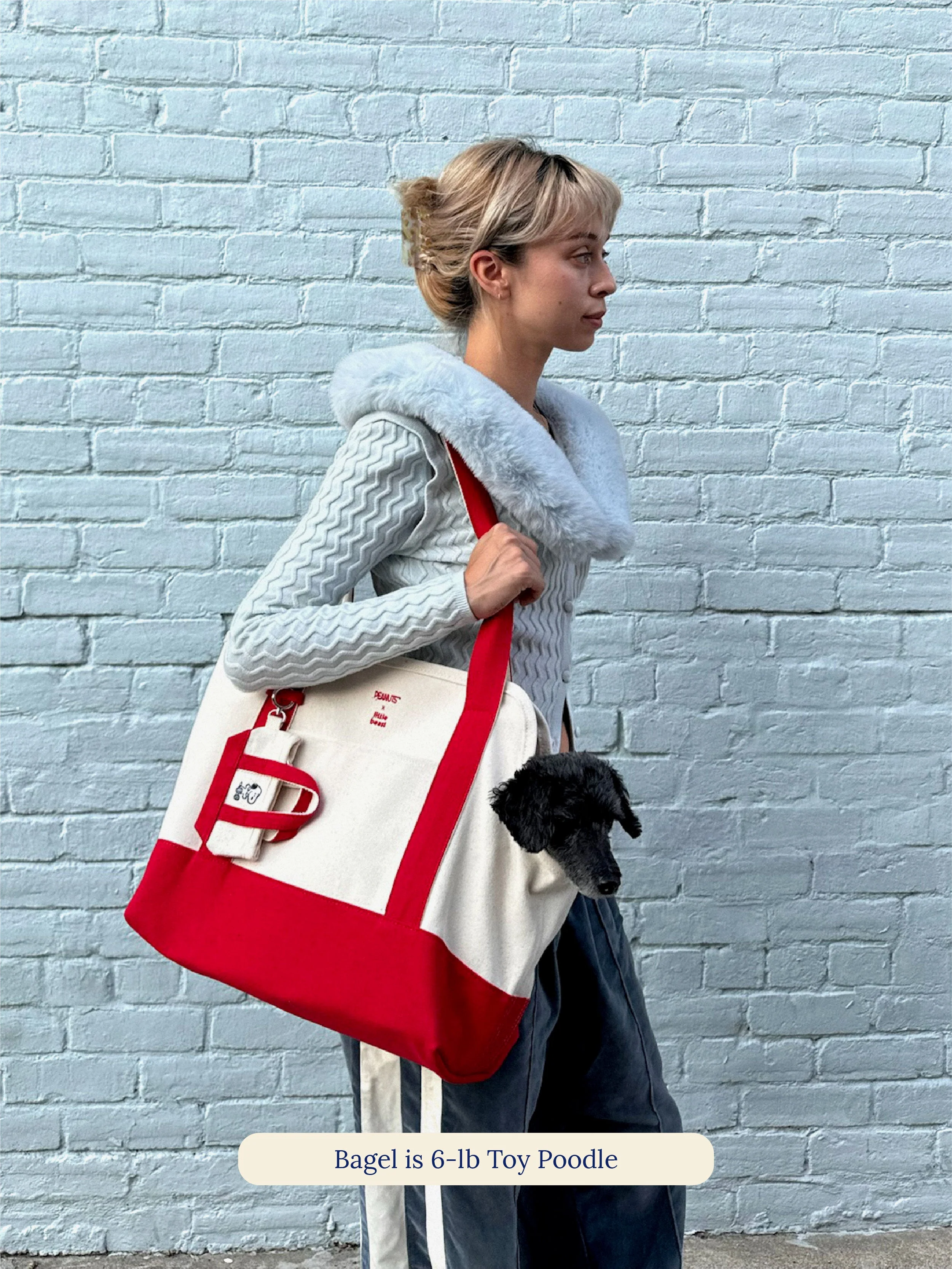 Love Drives Me Crazy Canvas Tote - PEANUTS