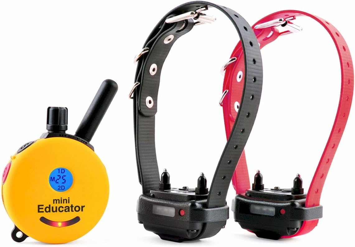 Humane Dog Training Collar with Remote, Features 100 Levels of Safe Stimulation, Tapping Sensation, Night Light, Waterproof, Rechargeable, 1 Mile 1 Dog, Black