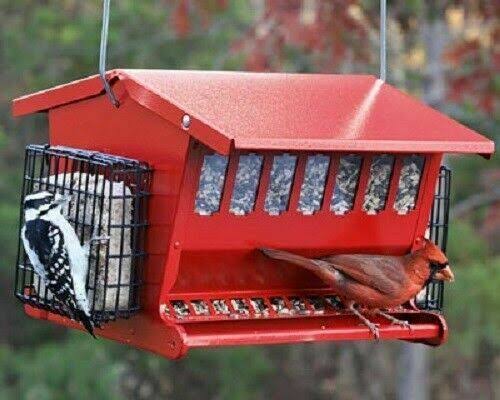 Heritage Farms Seeds u0026 More Double-Sided Bird Feeder