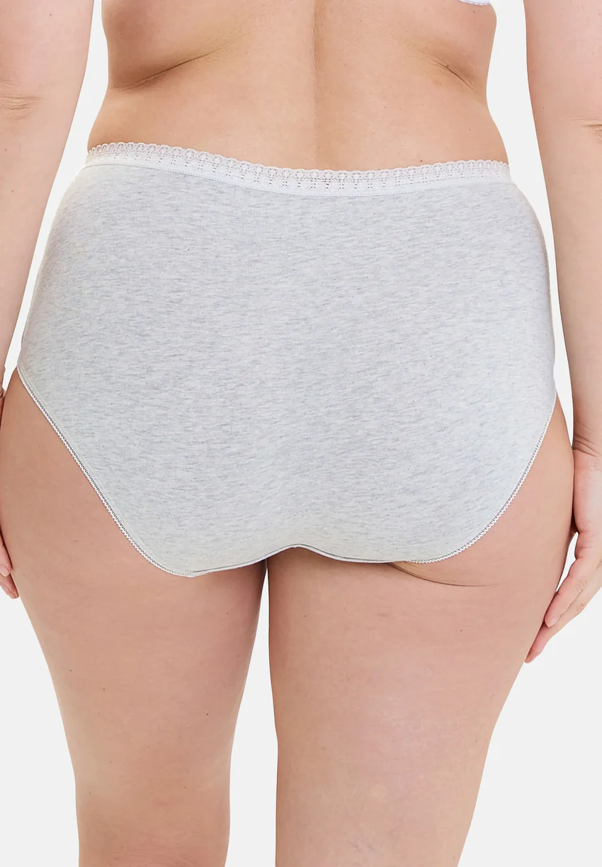 Lot de 2 slips Classique Coton Gris chiné