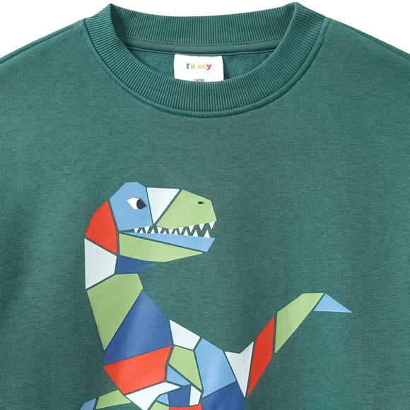 Famy Jungen Sweatshirt mit Print