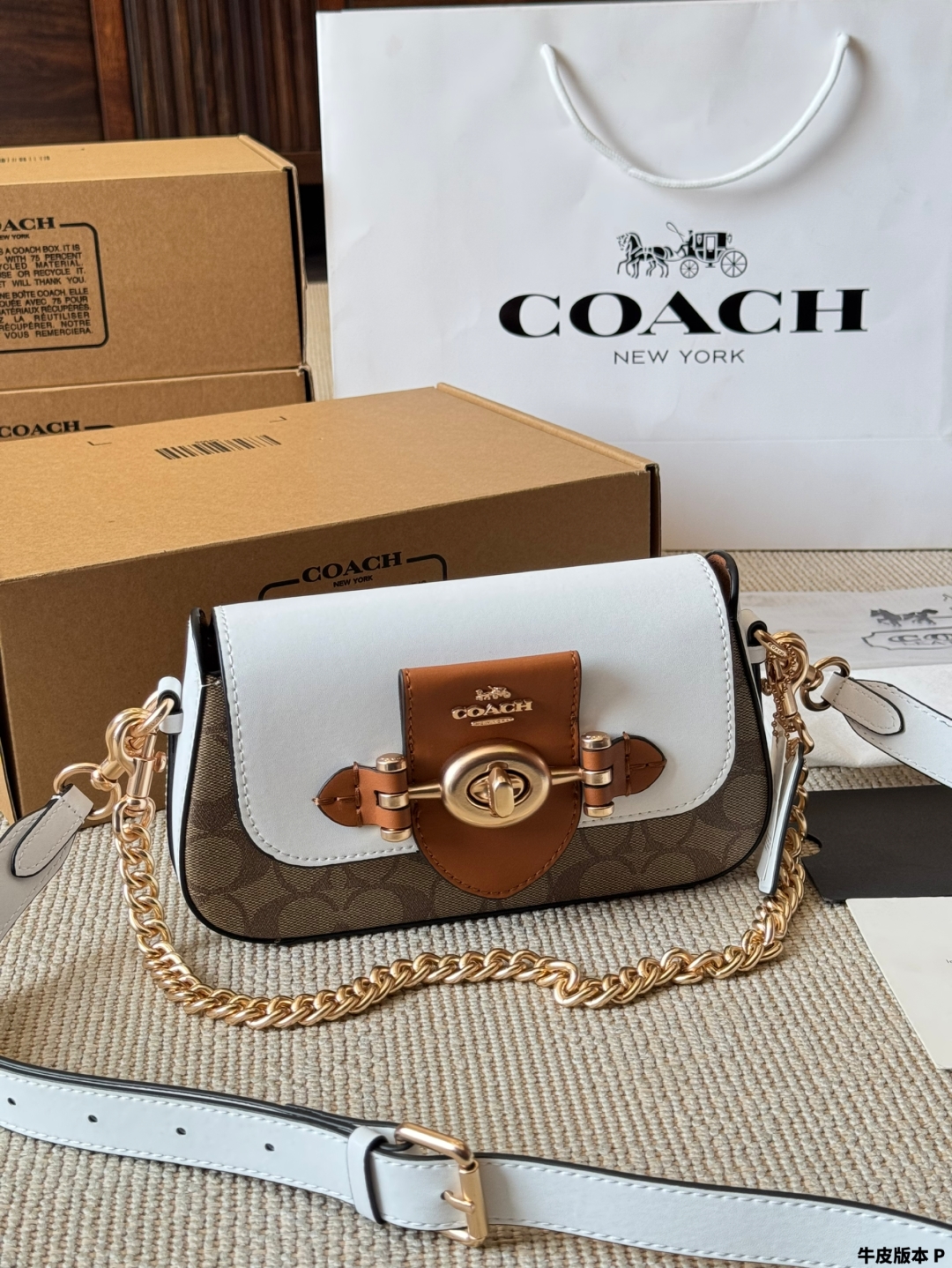 Coach's new Brie Turnlock Underarm Bag - cnluxepick