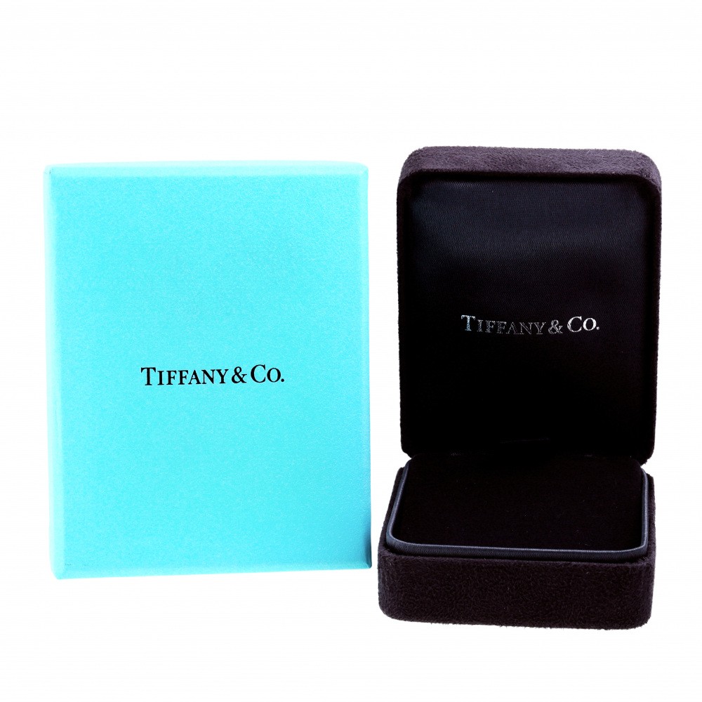 Tiffany & Co. By the Yard Necklace Platinum Diamond