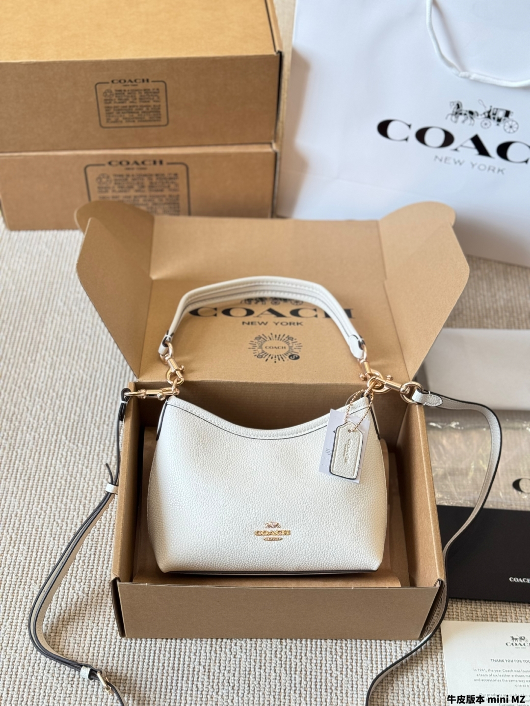 Coach's new laurel 19 hobo bag - cnluxepick