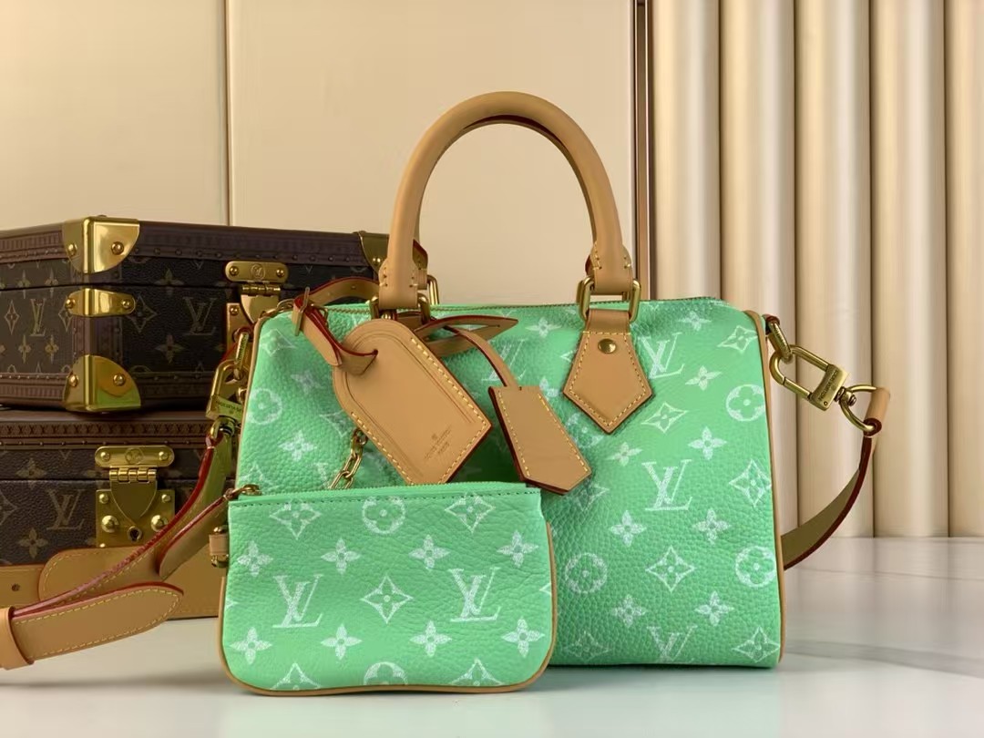 Top version speedy p9 bandouliere25 monogram handbag - cnluxepick