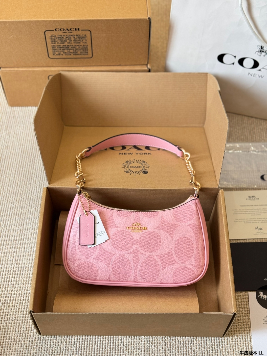 Coach Teri series armpit bag - cnluxepick