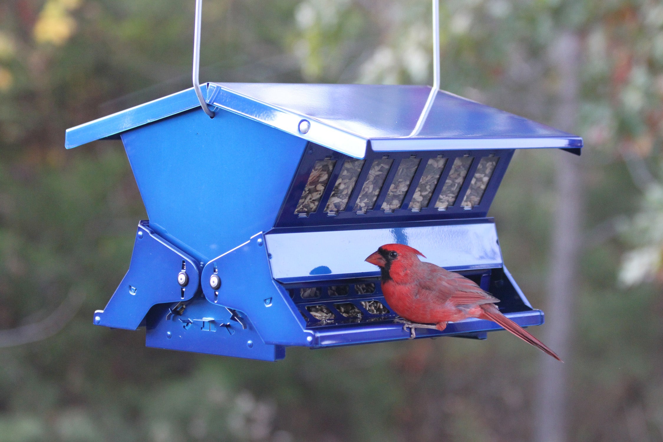 Woodlink Squirrel Resistant Hopper Metal Bird Feeder, Blue