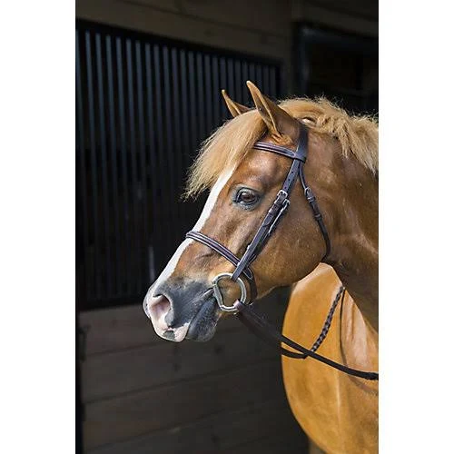 Gatsby Leather Company Fancy Snaffle Bridle, Brown