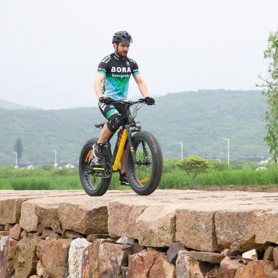 Adults Electric Bike 750W BaFang Motor Fat Tire Electric Mountain Bicycle Samsung 48V Lithium Battery 7-Speed Snow Beach E-Bike Dirt Bicycles