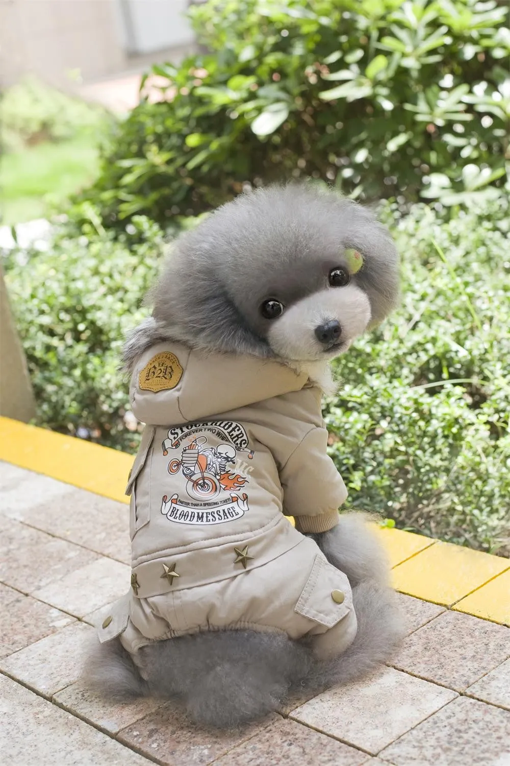 Dog Winter Jacket - Dog & Cat Apparel