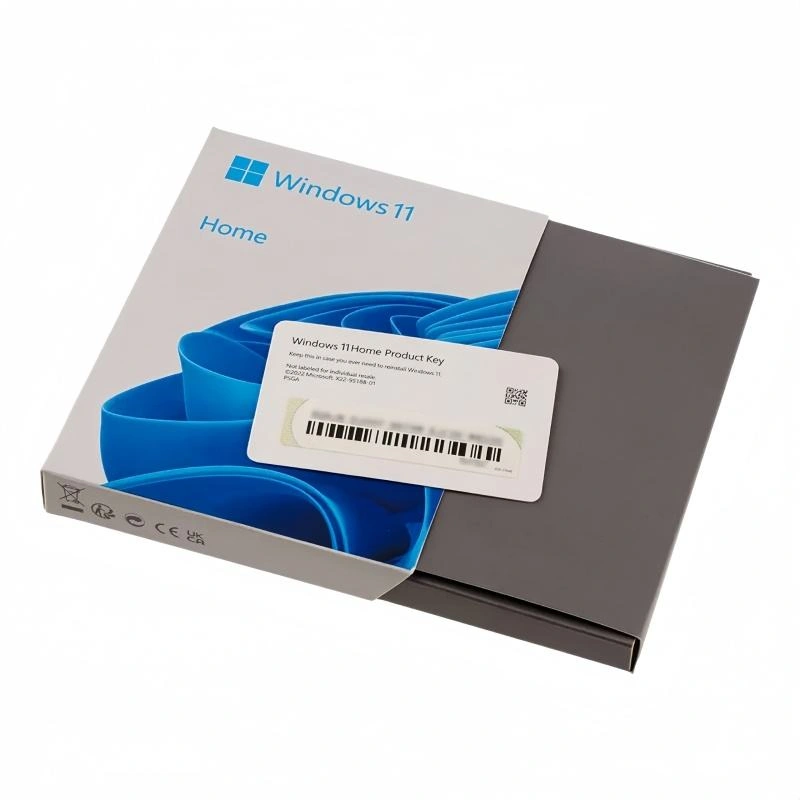 Windows 10 Home USB Box
