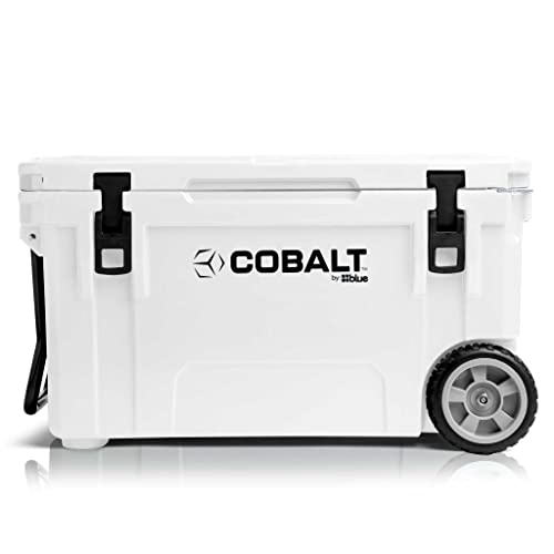 Cobalt Quart Molded Super Cooler