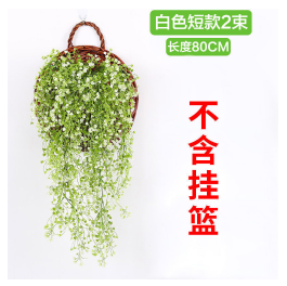 Golden Bell Willow