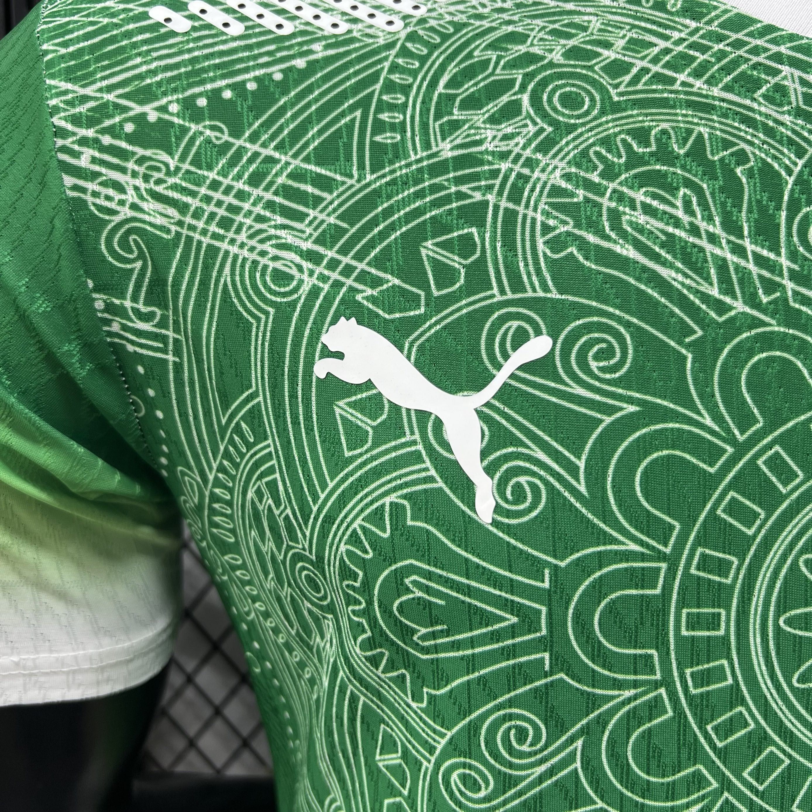 Player Version Côte d'Ivoire 2026 Special Jersey - Green
