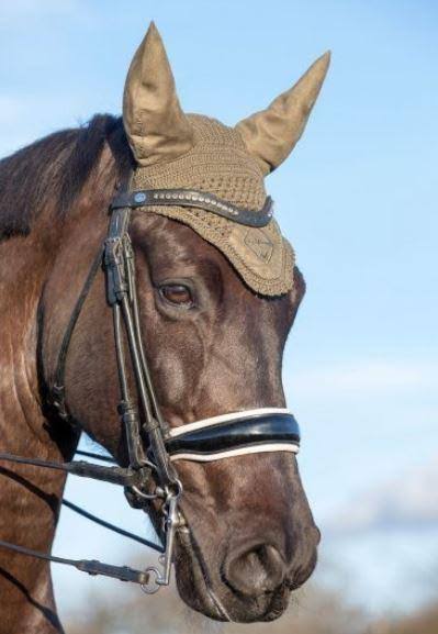 LeMieux Signature Fly Hood