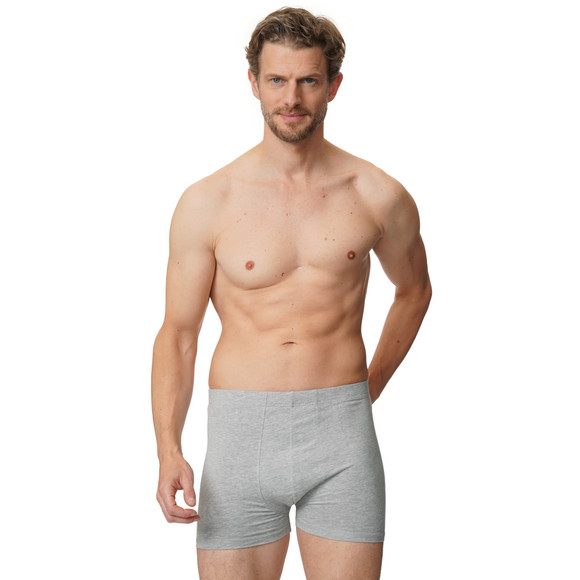 VanVaan 5 Herren Boxer mit Bio-Baumwolle