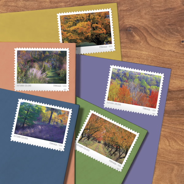Autumn Colors Stamps 2024