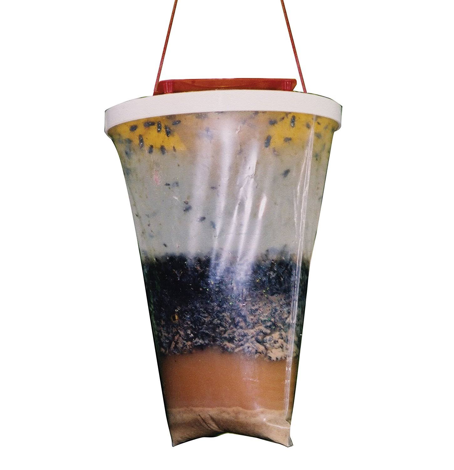 Flies Be Gone Non Toxic Fly Trap (12-Pack)