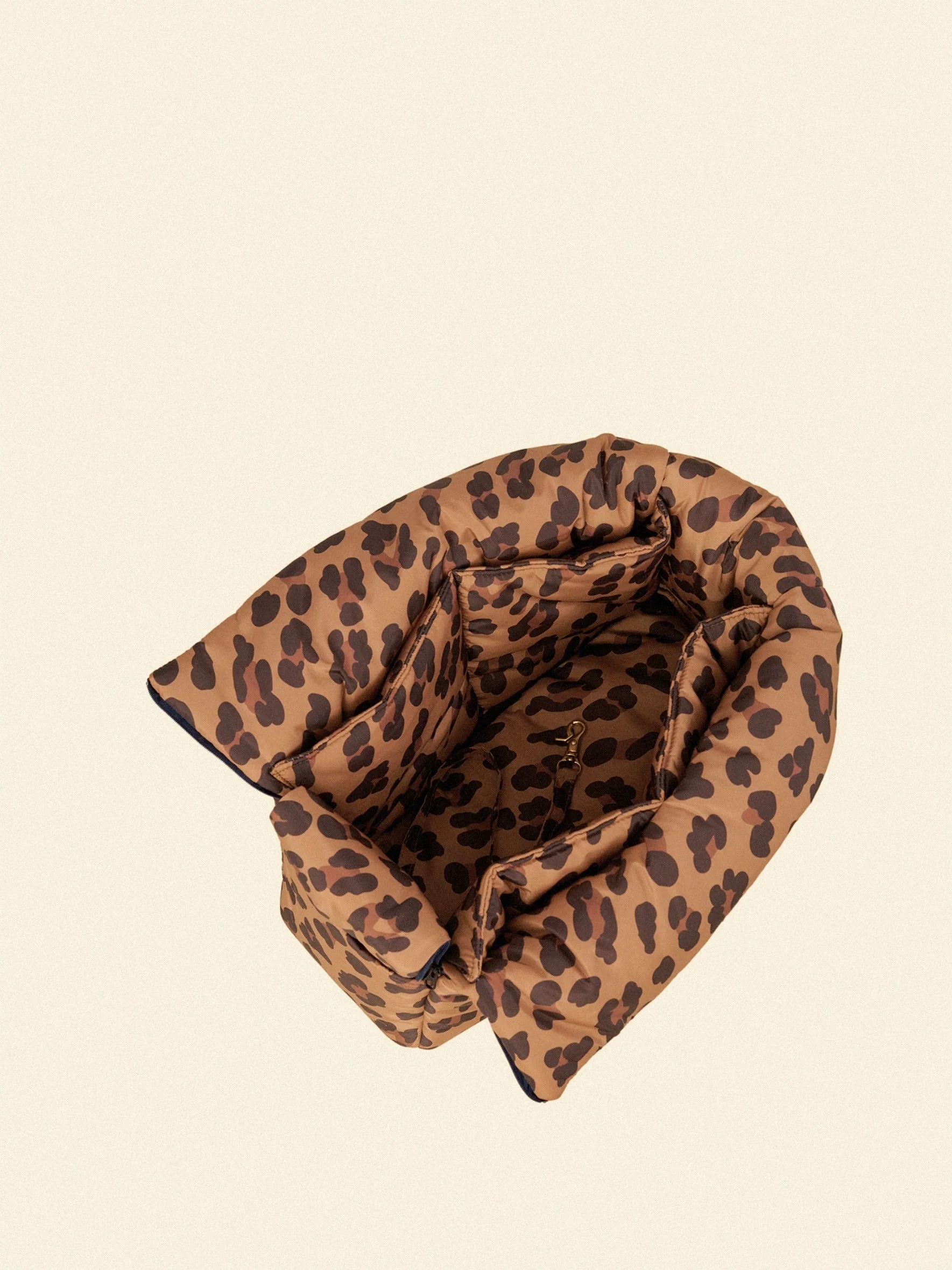 The Little Beast Carrier - Cougar