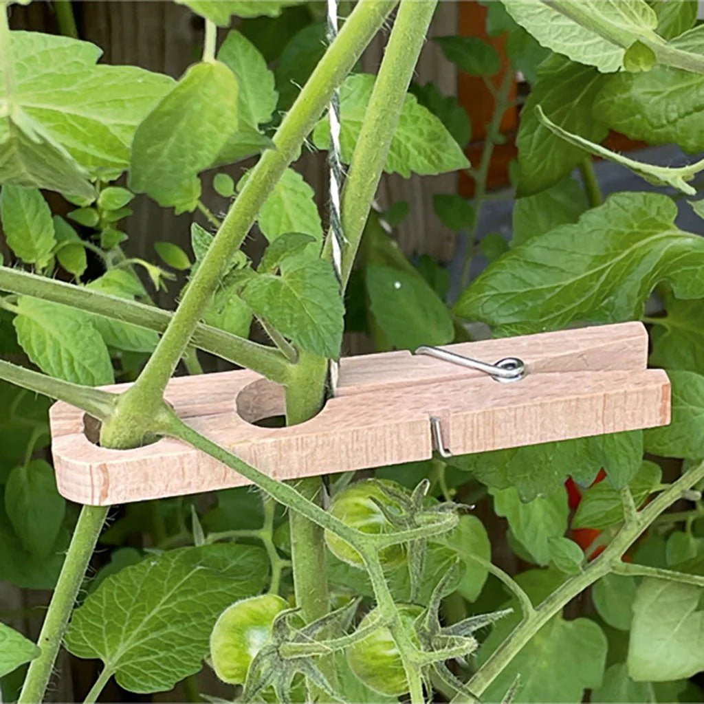Planting Clamps