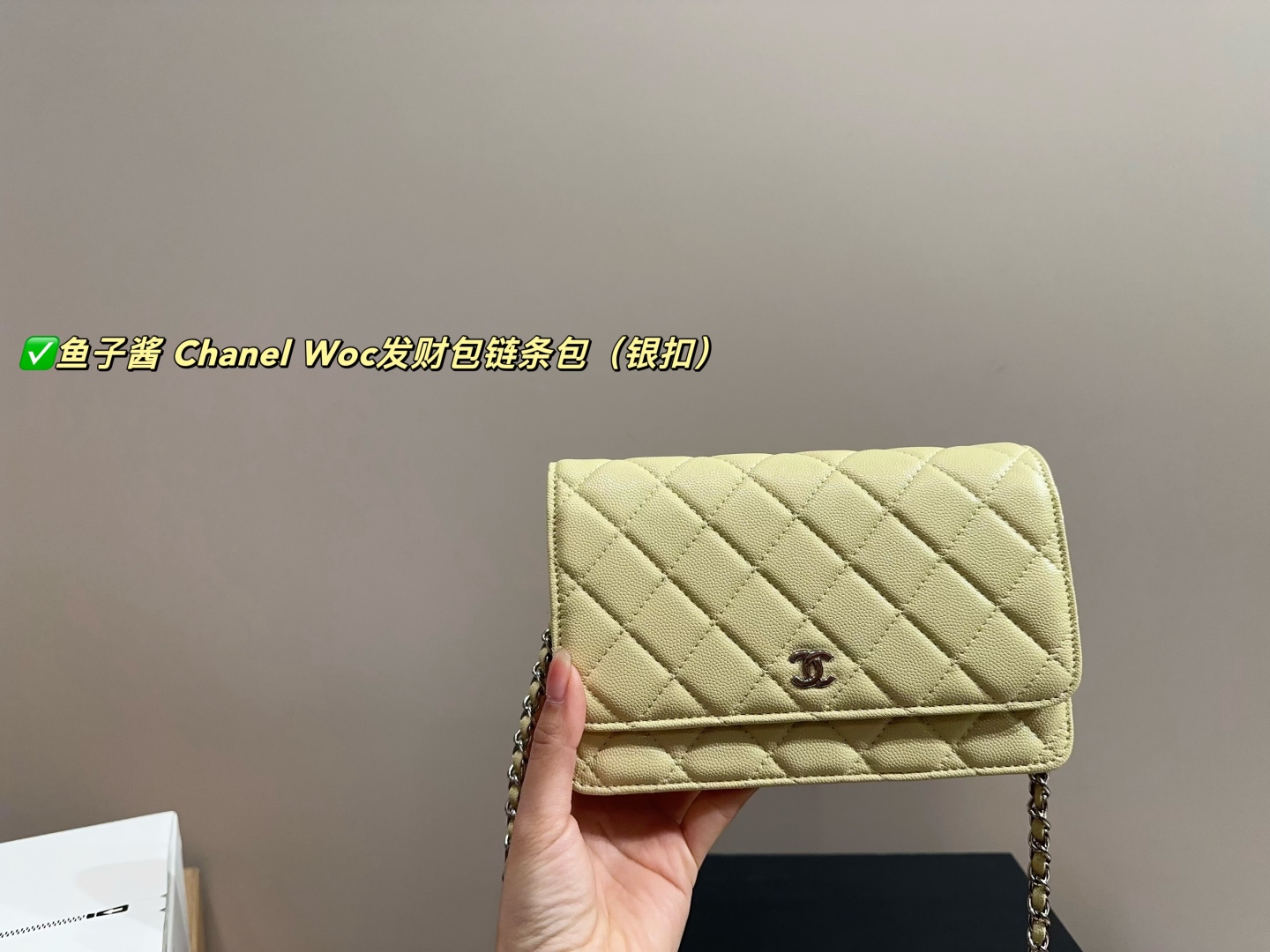 Chanel Woc fortune bag chain bag - cnluxepick