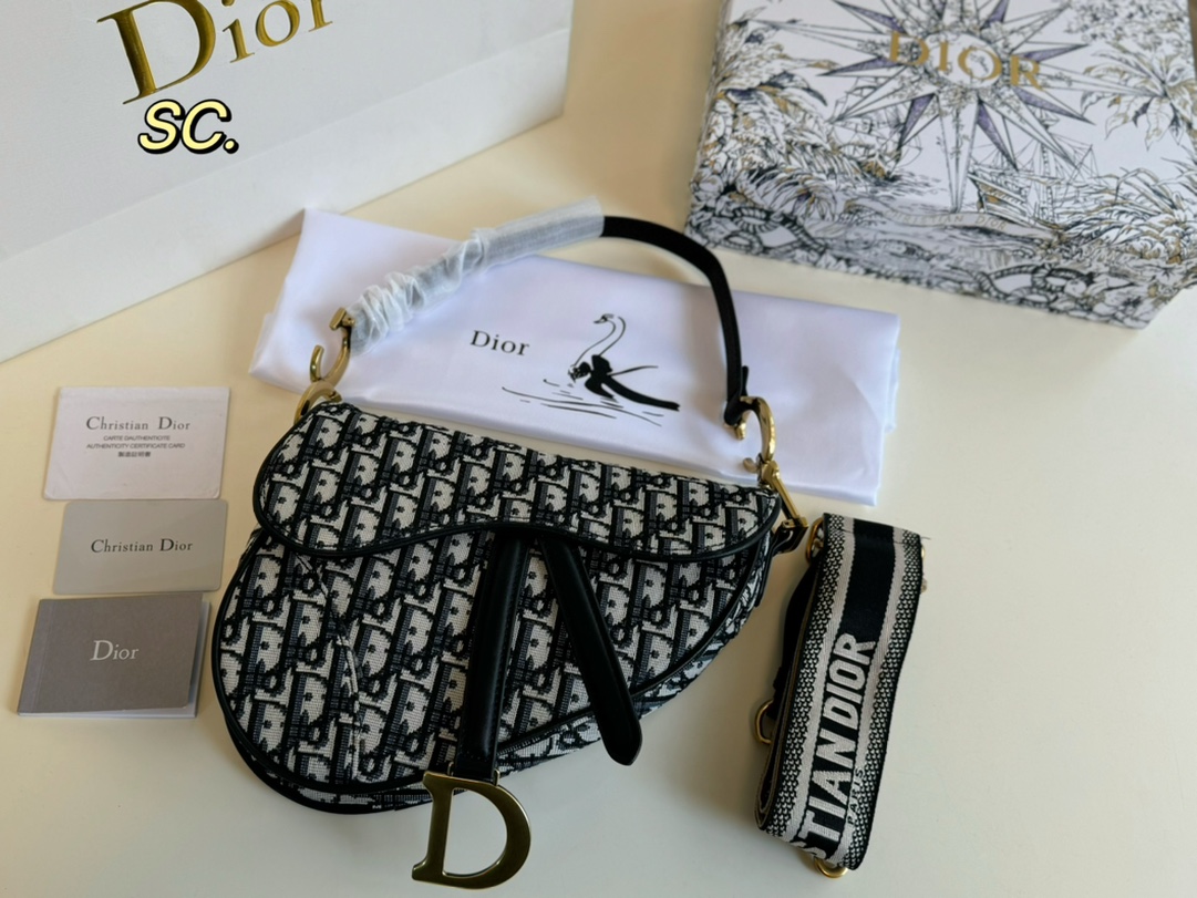 Dior Embroidered Saddle Bag - cnluxepick