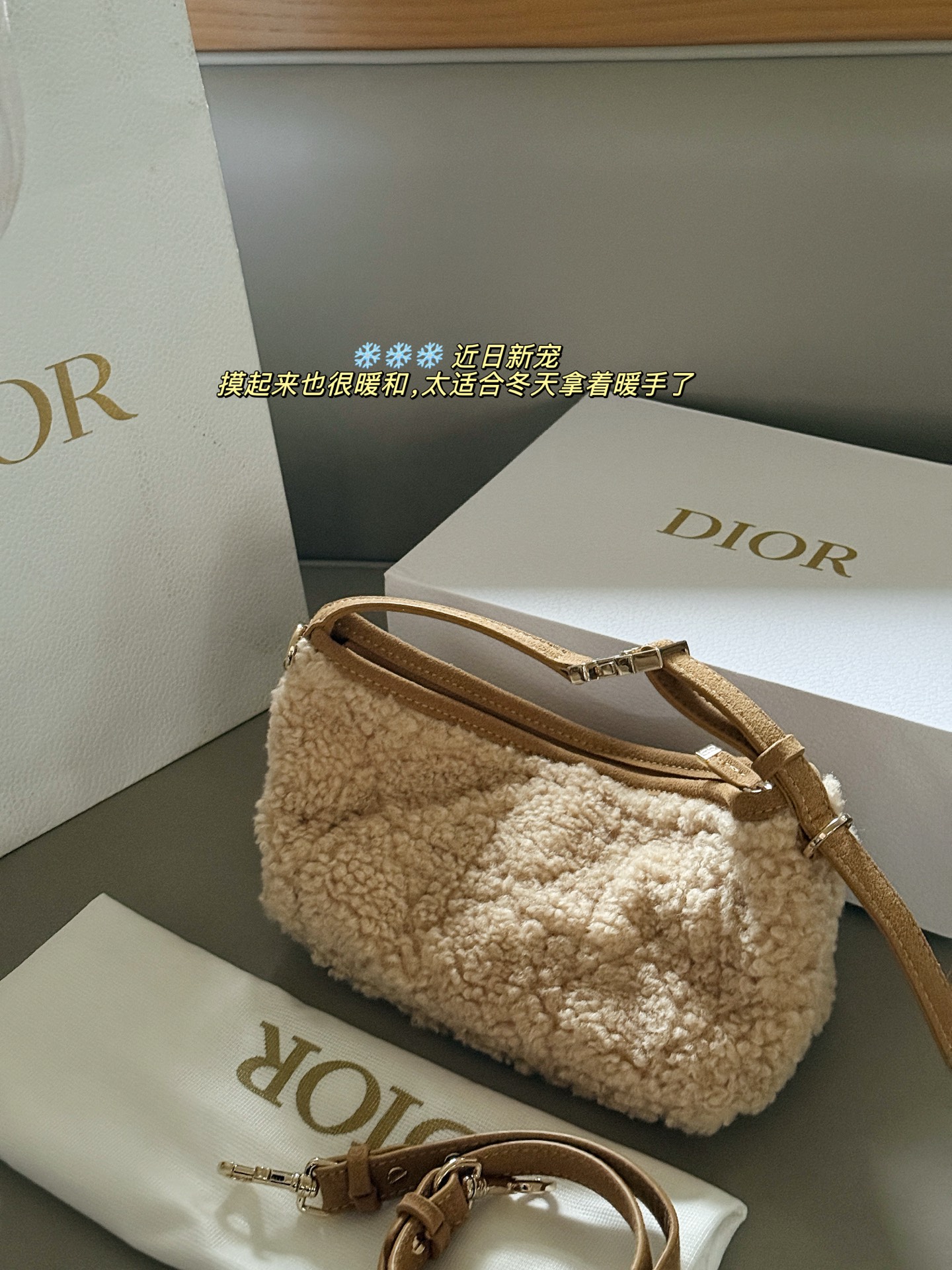 Dior Nomad lunchbox bag - cnluxepick