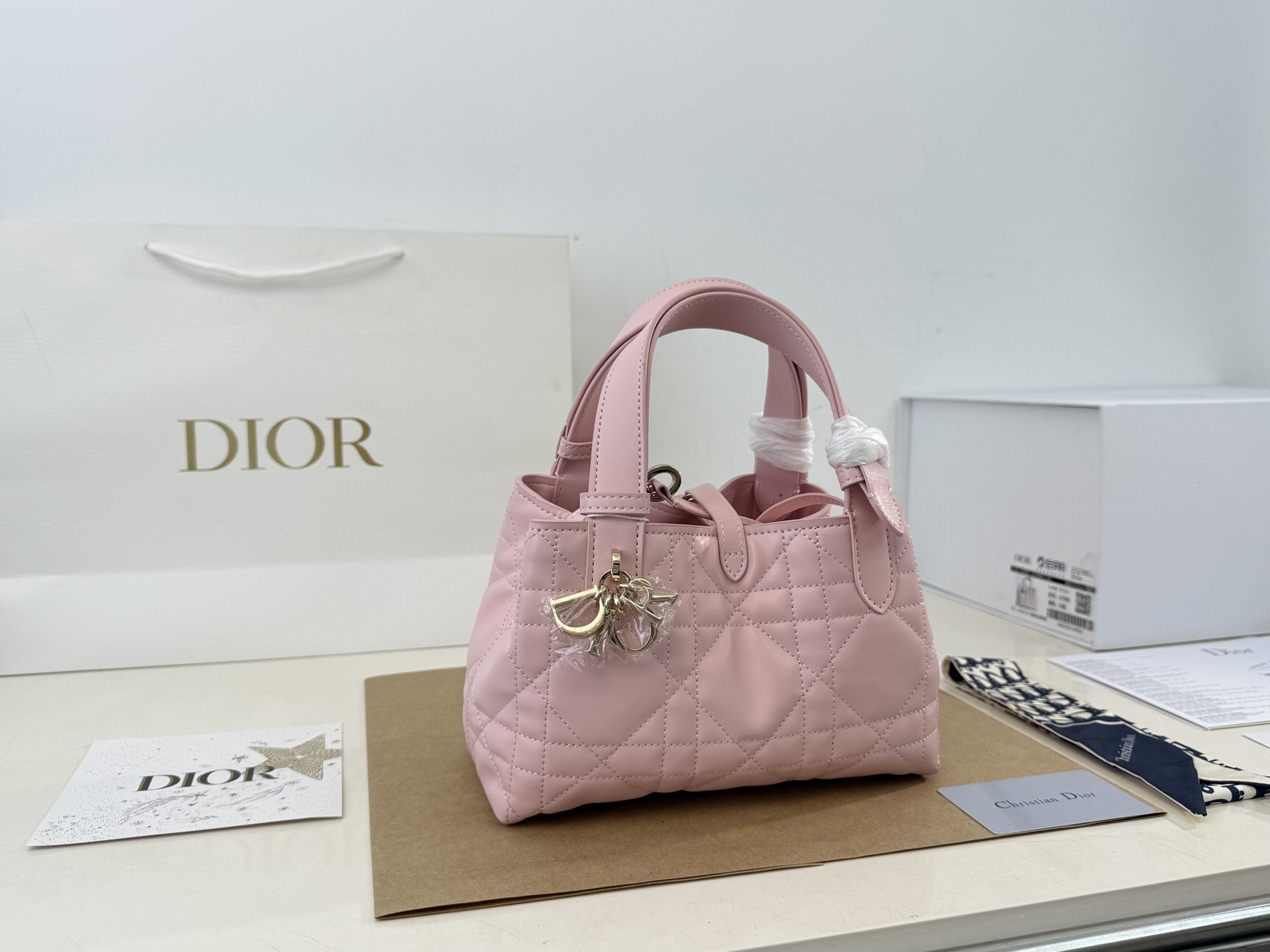Dior Toujours handbags - cnluxepick