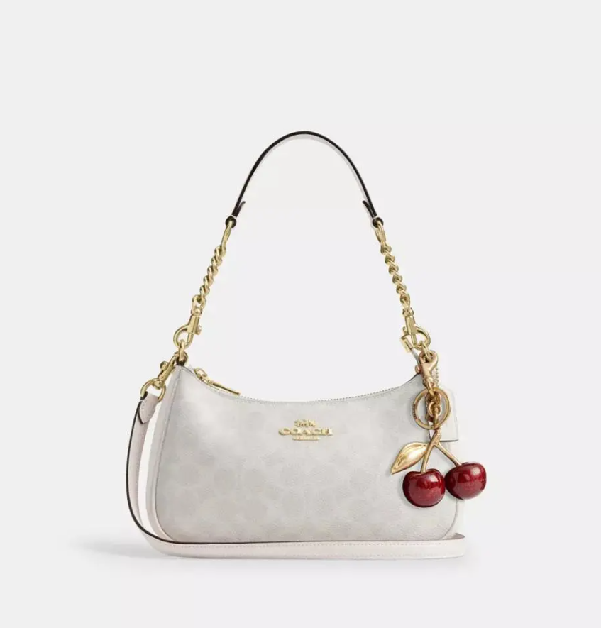 Coach Teri Shoulder Bag In Signature Canvas