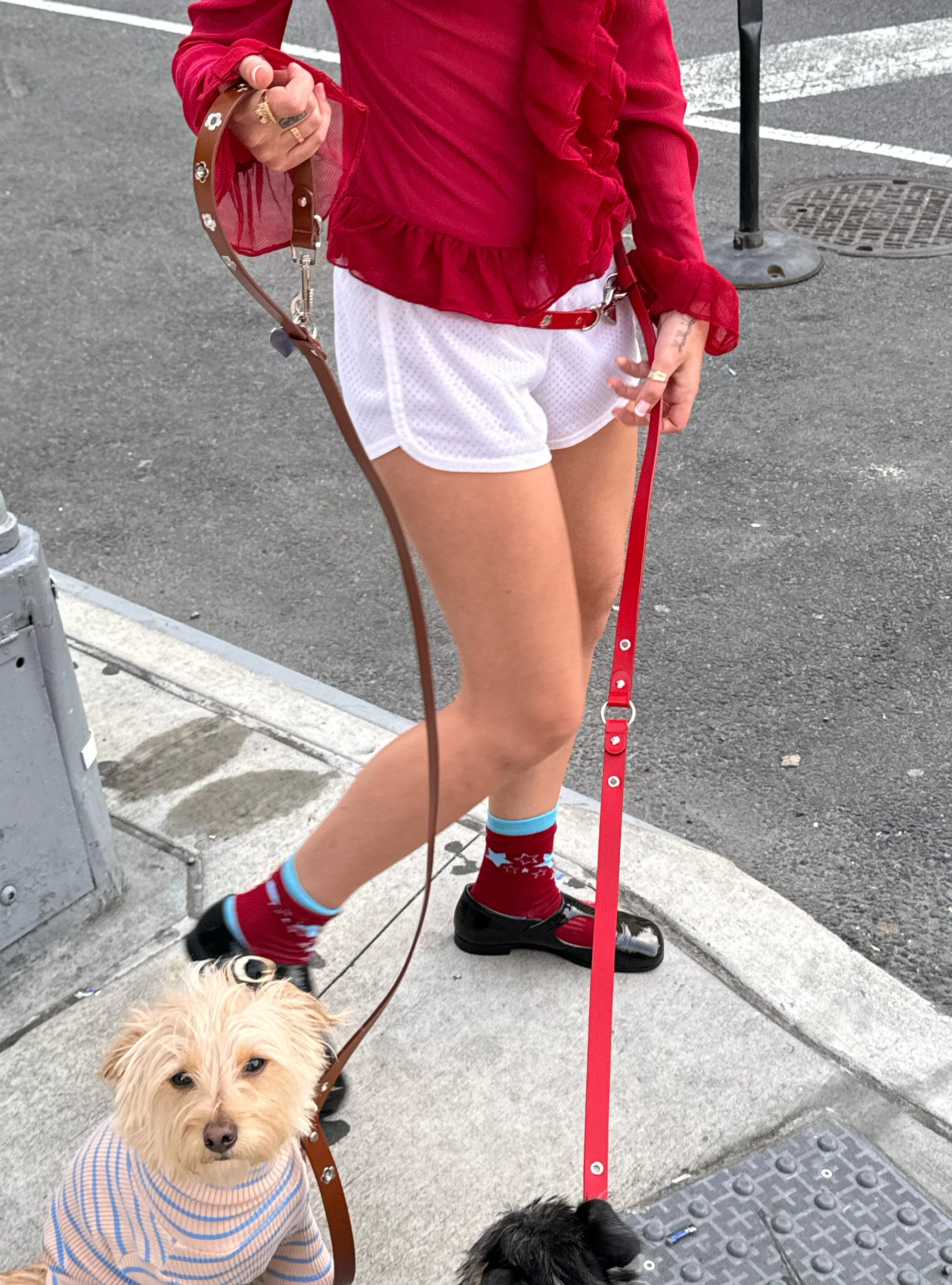 Ruby - Flower Power Leash