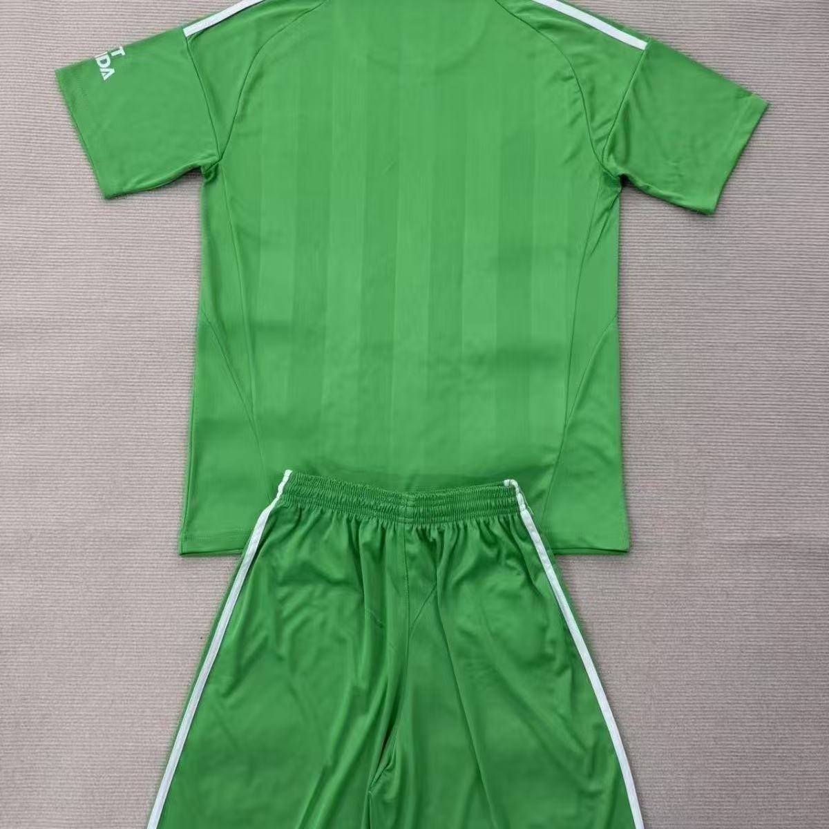 Arsenal 25 26 goalkeeper shirt fan version