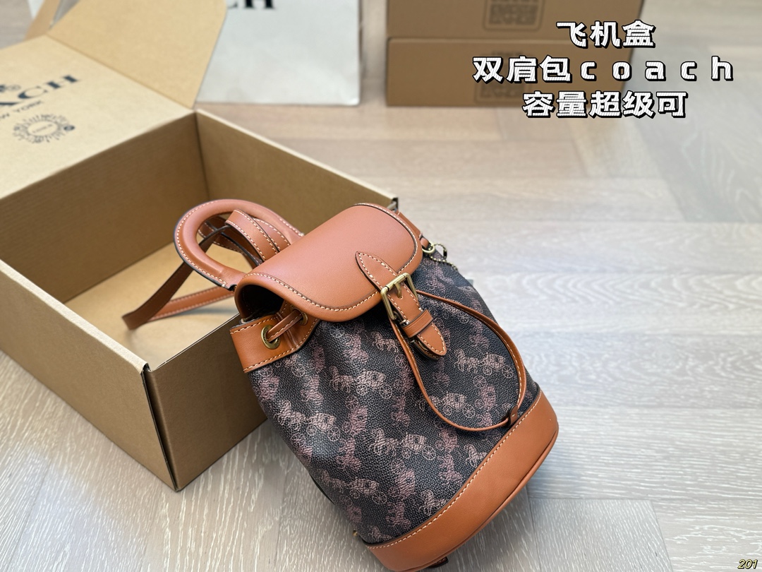 Coach backpack for everyday wear - cnluxepick