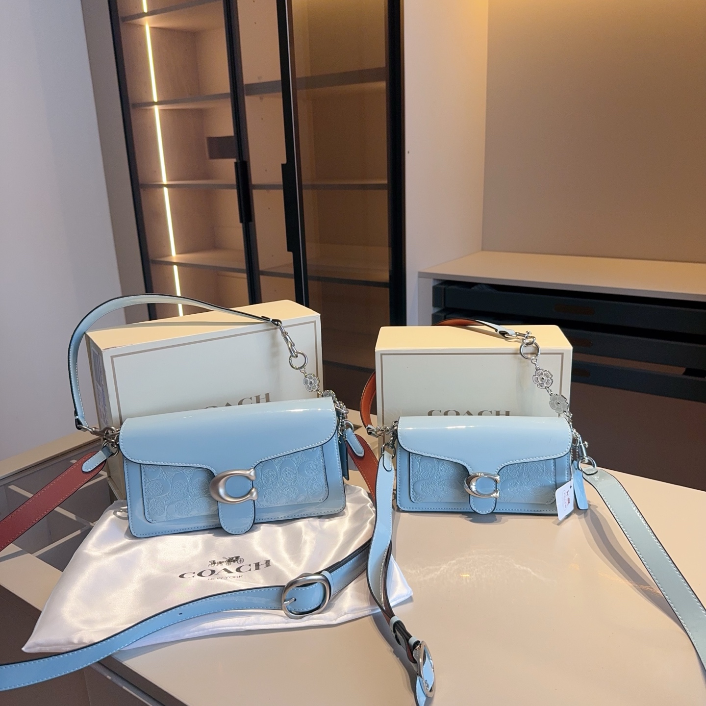 Coach's new patent leather embossed Dionysus bag tall version - cnluxepick