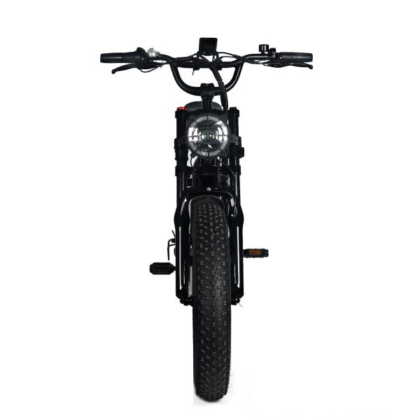 Electric Mountain Bike for Adults | 20 x 4.0 Fat Tires, 1000W Motor, 48V 20Ah Removable Battery, Max Speed 45MPH, Shi Mano 7-Speed for Off-Road Adventures