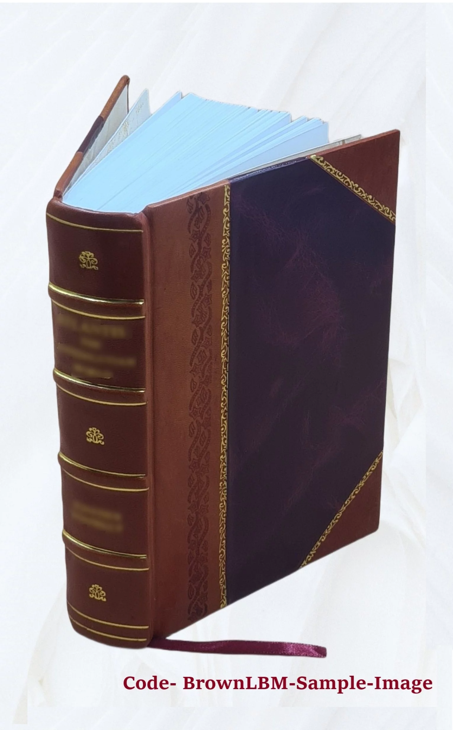 [Index (soundex) to the population schedules of the 14th census of the United States, 1920] Volume Illinois M1559 Reel 314. M- 600 Mary - M- 610 Ann. 1920 [Leather Bound]