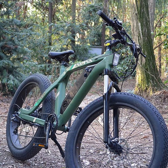 Adult Electric Bicycle 26″ Fat Tire Bike 750W 48V/13AH Battery EBike Moped Snow Beach Mountain Ebike Throttle & Pedal Assist